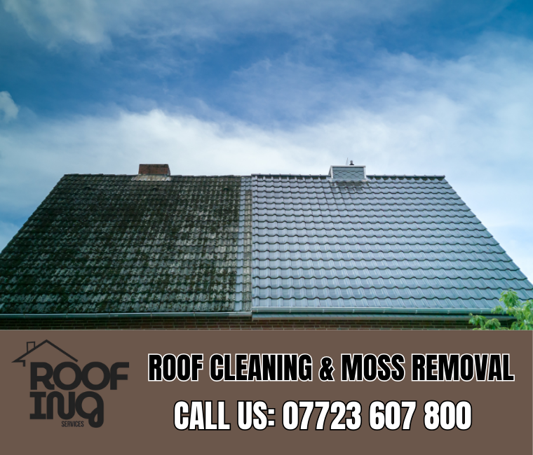 Roof Cleaning in Mousehole